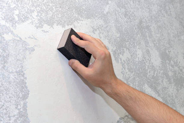 Best Mold-Related Health Consultation  in Lynwood, IL