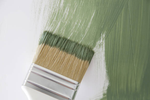 Best Real Estate Mold Inspection  in Lynwood, IL