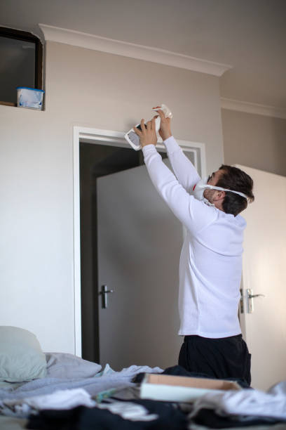 Best Industrial Mold Remediation  in Lynwood, IL