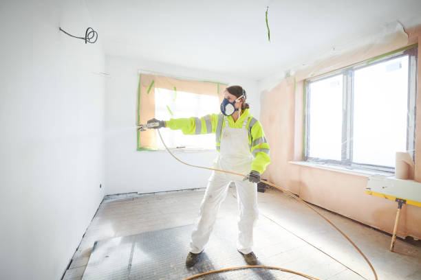 Best Mold Odor Removal Services  in Lynwood, IL