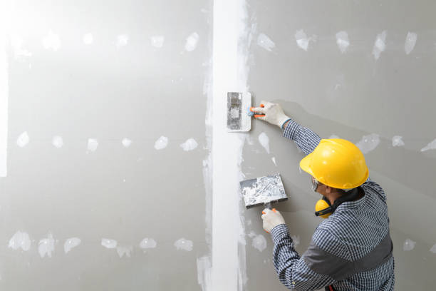 Best Residential Mold Inspection & Testing  in Lynwood, IL