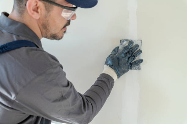 Best Biohazard Mold Removal  in Lynwood, IL