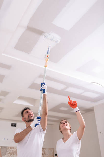 Best Airborne Mold Testing  in Lynwood, IL