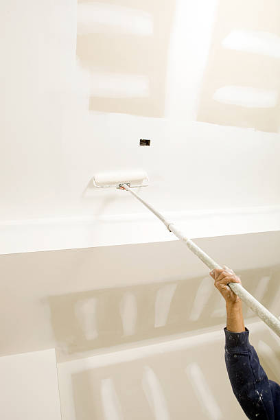 Best Water Damage & Mold Remediation  in Lynwood, IL