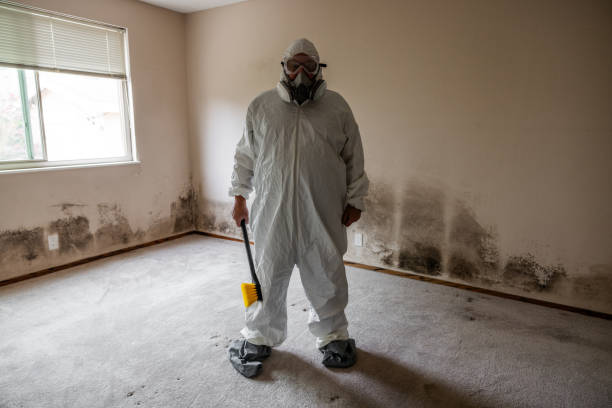 Best Mold Removal for HVAC Installations  in Lynwood, IL