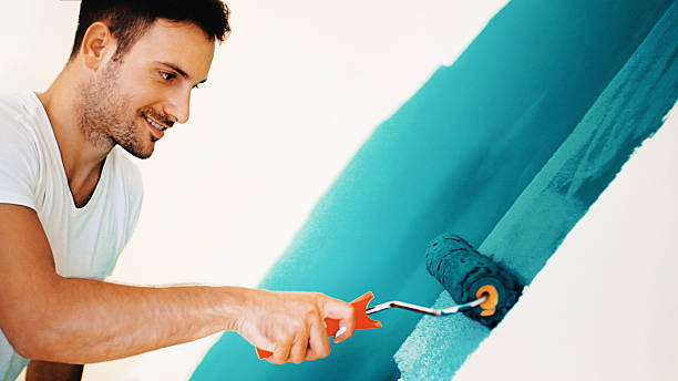 Best Emergency Mold Remediation  in Lynwood, IL