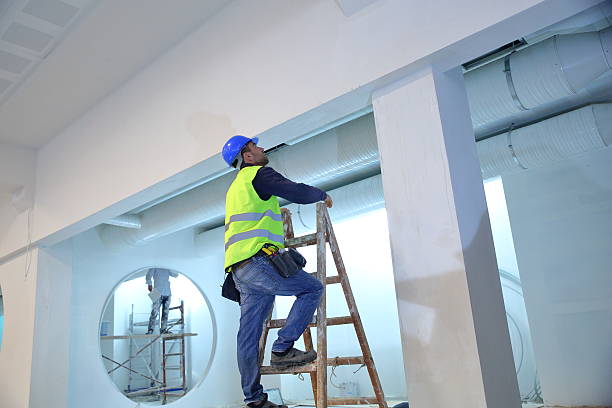 Best Black Mold Removal  in Lynwood, IL