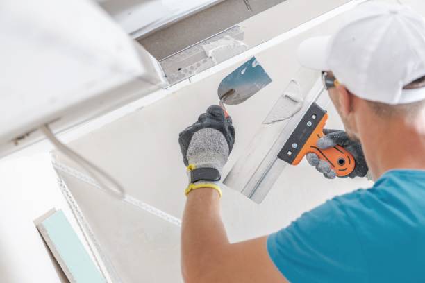 Best Black Mold Removal  in Lynwood, IL